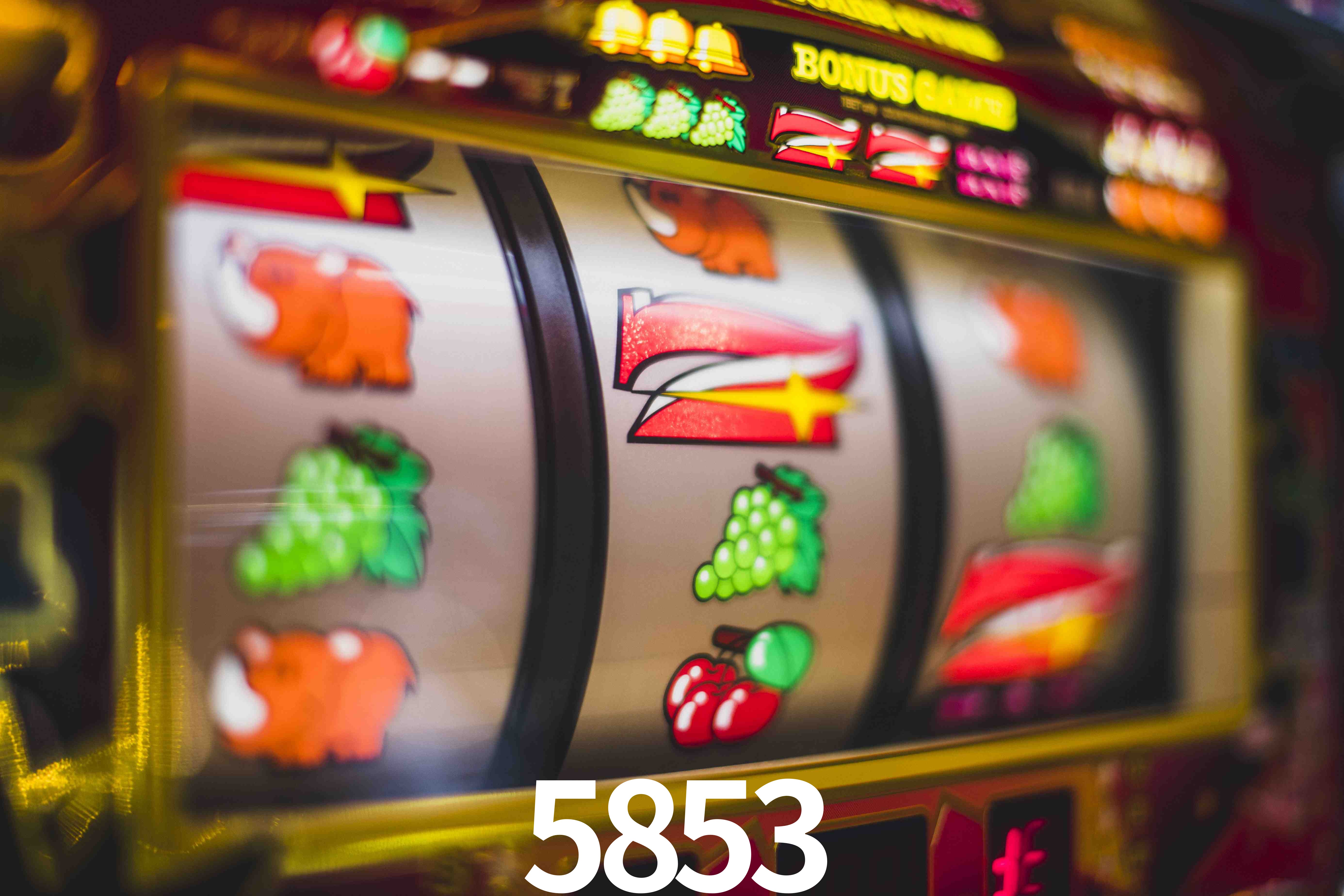 Sports Statistics 5853